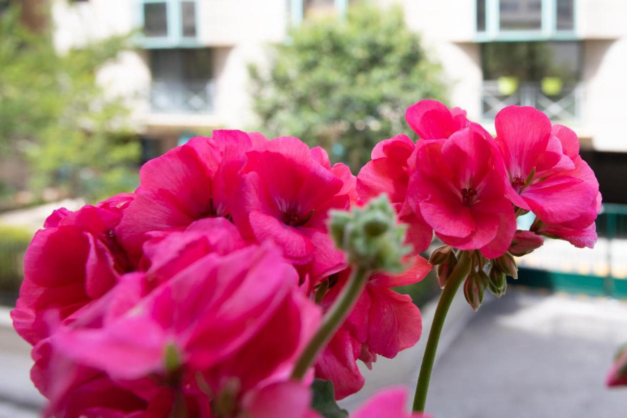 Boutique Apartment La Lavande Free Parking 10 Min Walk Ница Екстериор снимка